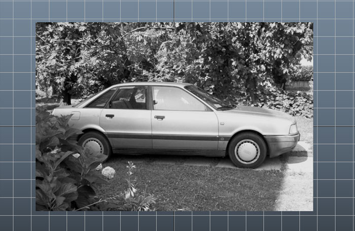 image of the texture converted in black and white with color remapping