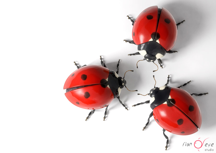 illustration of a ladybug in 3d 02